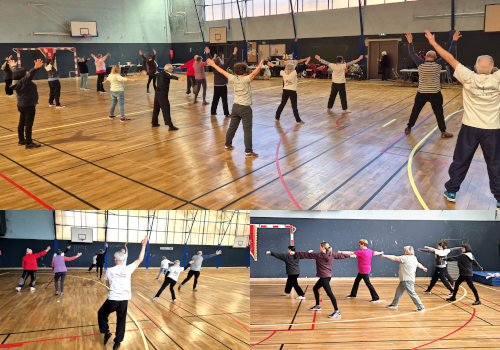 Mei Hua Zhuang maitres